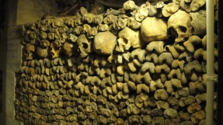 Bones in the Catacombes