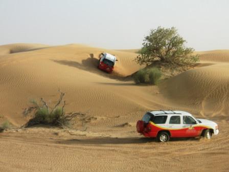 Dune bashing in the desert