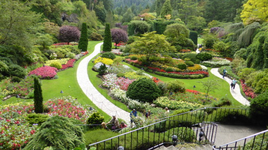 The Sunken Garden at Butchart Gardens.  This was an old limestone quarry.