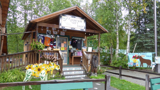 One of the many gift shops in Talkeetna.