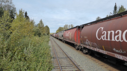 Passing one of the massive goods trains heading to Prince Rupert.