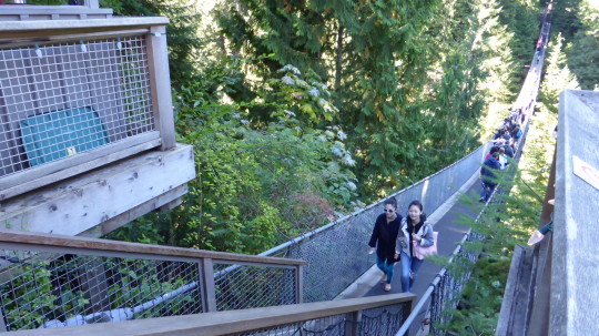 The Capilano Suspension Bridge.  $36 a trip and you have to walk.