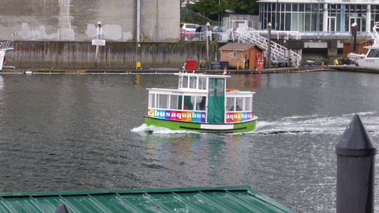 Cute little Aquabus ferries that transport you round the inner harbour in Vancouver