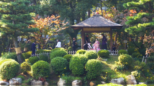 A wedding at the Shukkeien Gardens
